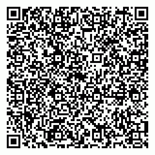 vCard 79991009095