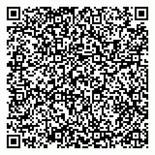 vCard 79991009132