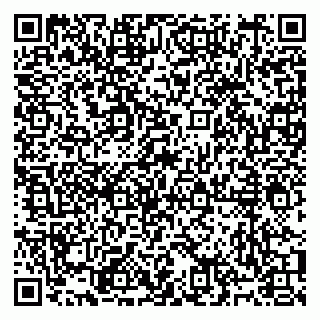 vCard 79991009163