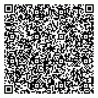 vCard 79991009184