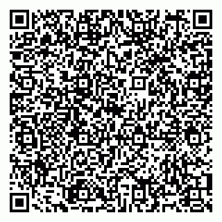 vCard 79991009251