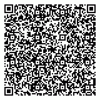vCard 79991009603