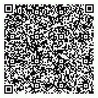 vCard 79991009793