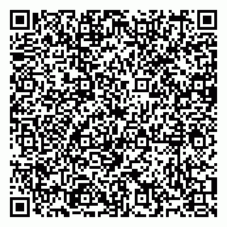 vCard 79991009839