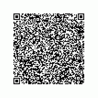 vCard 79991200081