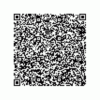 vCard 79991200095