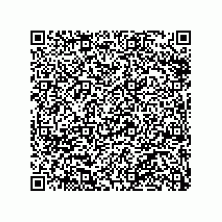 vCard 79991200096