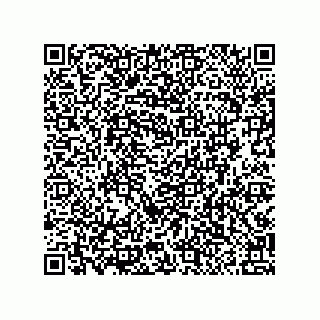 vCard 79991200100