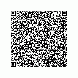 vCard 79991200133