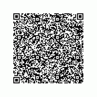 vCard 79991200185