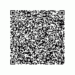 vCard 79991200199