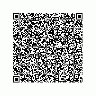 vCard 79991200214