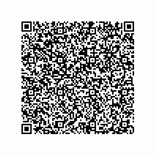vCard 79991200263