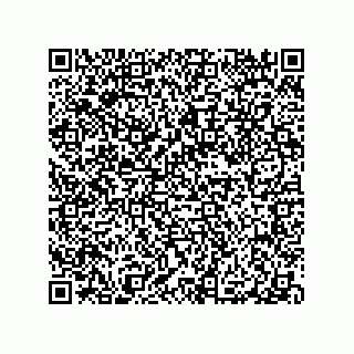 vCard 79991200272