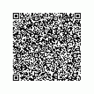 vCard 79991200276