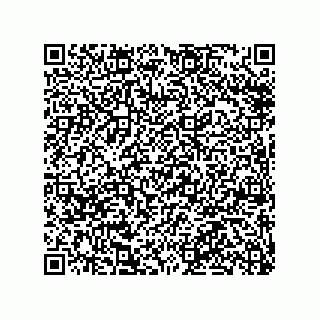 vCard 79991200285