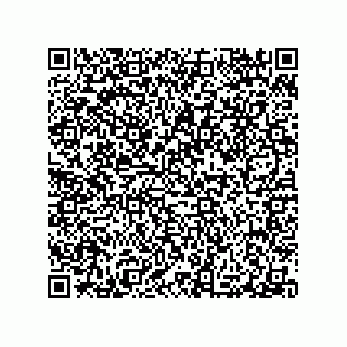 vCard 79991200295