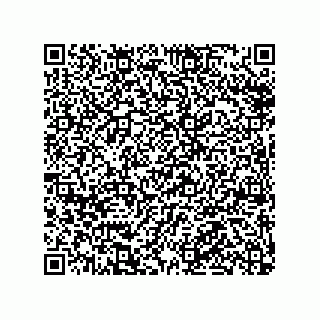 vCard 79991200303