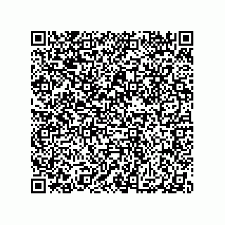 vCard 79991200304