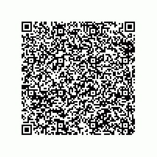 vCard 79991200311