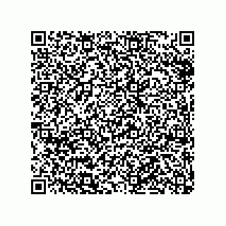 vCard 79991200313