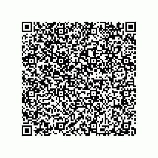 vCard 79991200324