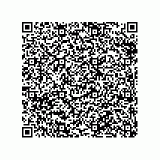 vCard 79991200331