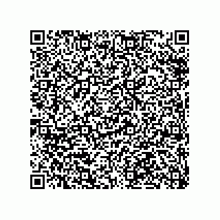 vCard 79991200378