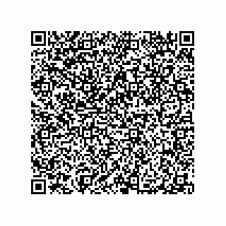 vCard 79991200379