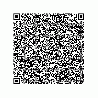 vCard 79991200381