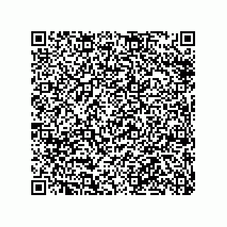 vCard 79991200385