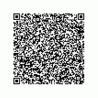vCard 79991200387