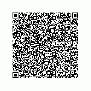 vCard 79991200393