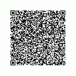 vCard 79991200395