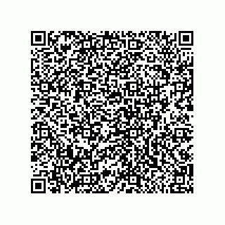 vCard 79991350009