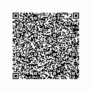 vCard 79991350084
