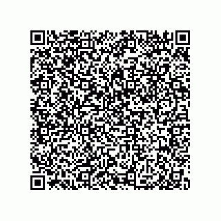 vCard 79991350104