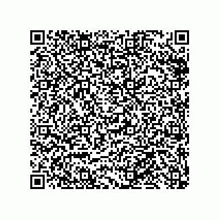 vCard 79991350133