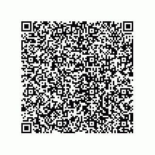 vCard 79991350176