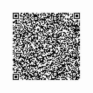 vCard 79991350187