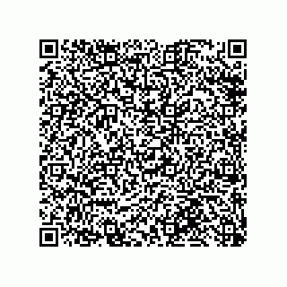 vCard 79991350260