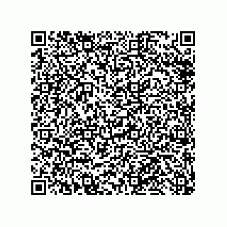 vCard 79991350287