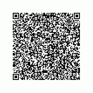 vCard 79991350293