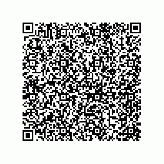 vCard 79991350295