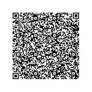 vCard 79991350314