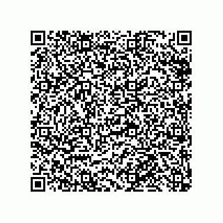 vCard 79991350333