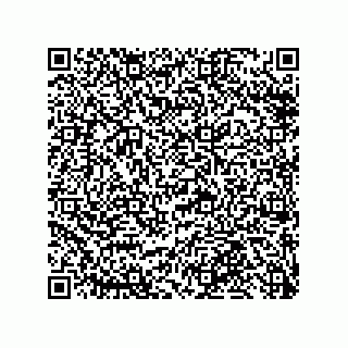 vCard 79991350384