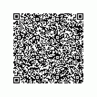 vCard 79991350387