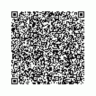 vCard 79991760063