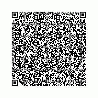 vCard 79991760133